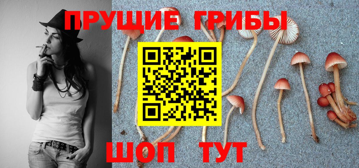 Галлюциногенные грибы GOLDEN TEACHER Пыть-Ях