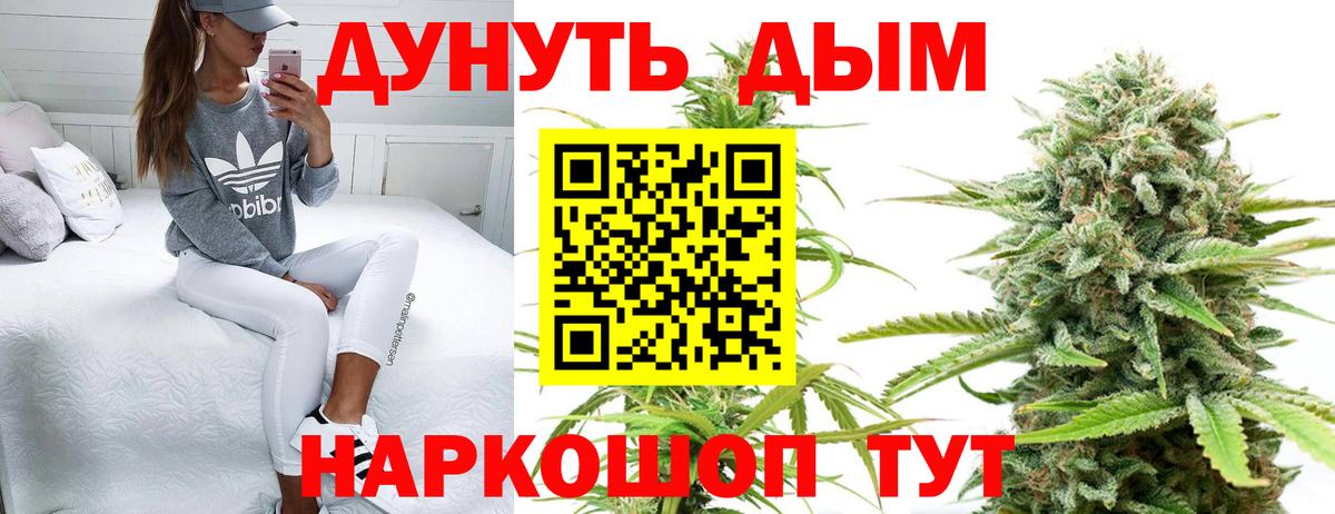 Конопля планчик Пыть-Ях